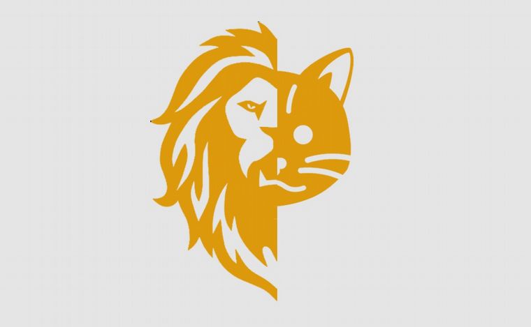 Fotoilustración: Juan Pérez Gaudio.