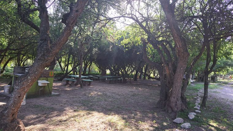 “Pisco Huasi”, el camping ideal para contemplar las estrellas en Córdoba