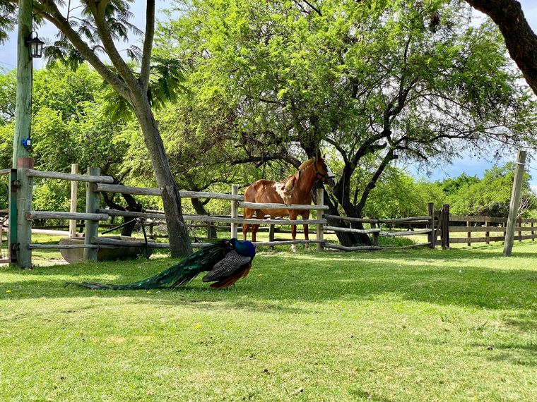 Cadena 3 visitó la Granja Los Juanes.