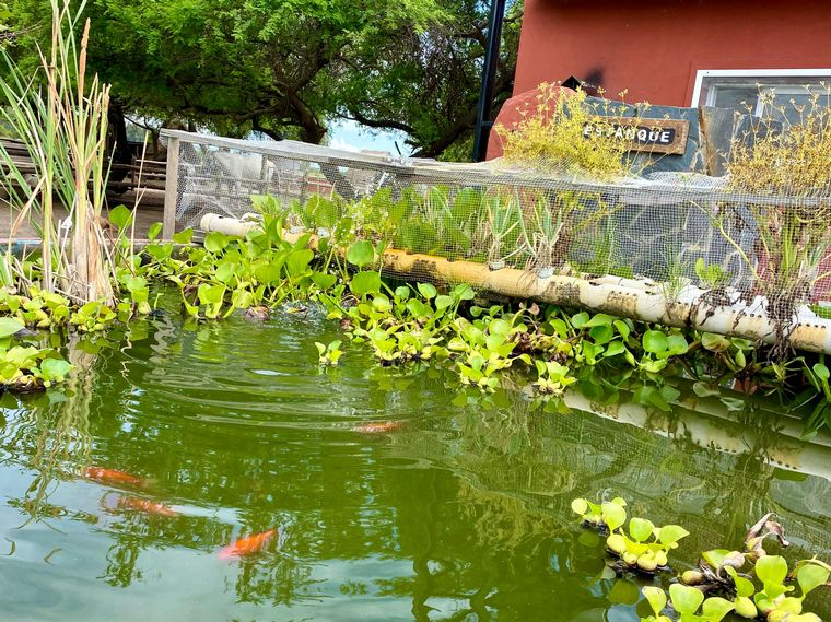 Cadena 3 visitó la Granja Los Juanes.