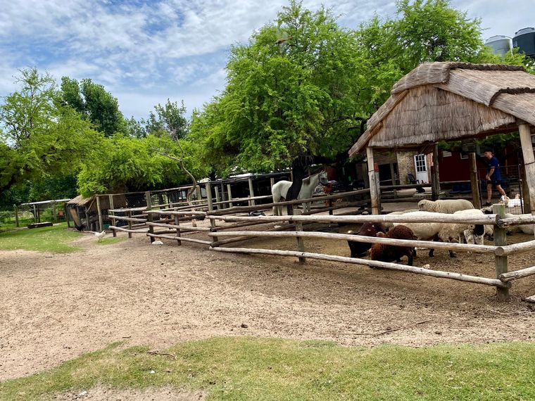 Cadena 3 visitó la Granja Los Juanes.