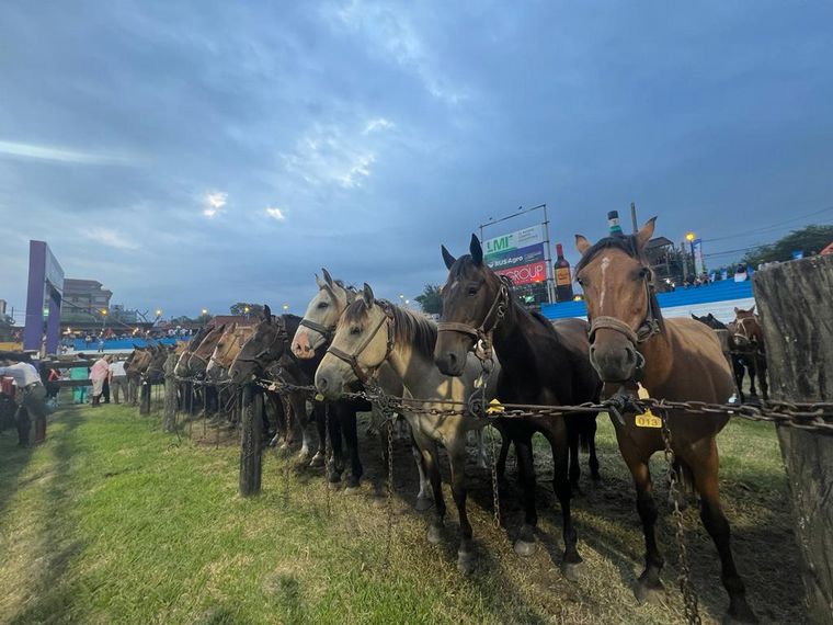 Festival de Jesús María 2024, segunda noche.