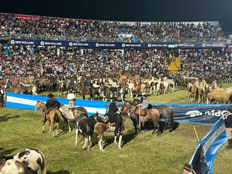 La tropilla de caballos en el festival un clásico de cada año