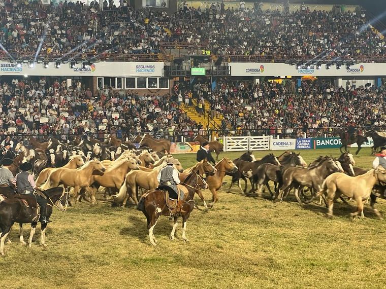 FOTO: La tropilla de caballos en el festival un clásico de cada año