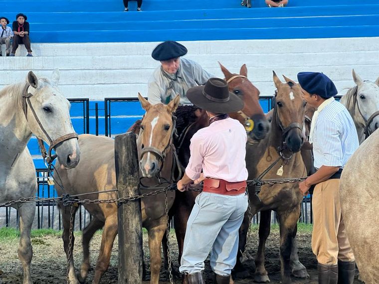 La doma sigue siendo uno de los principales atractivos del festival de Jesús María