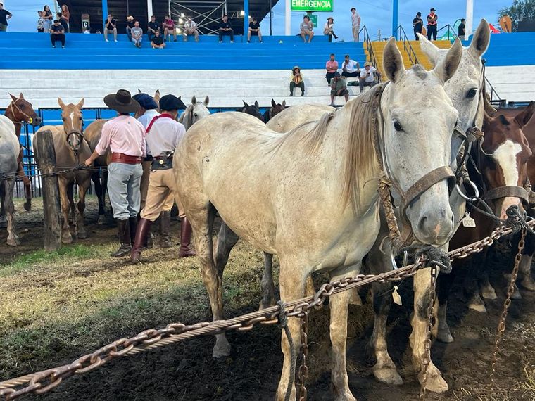 La doma sigue siendo uno de los principales atractivos del festival de Jesús María