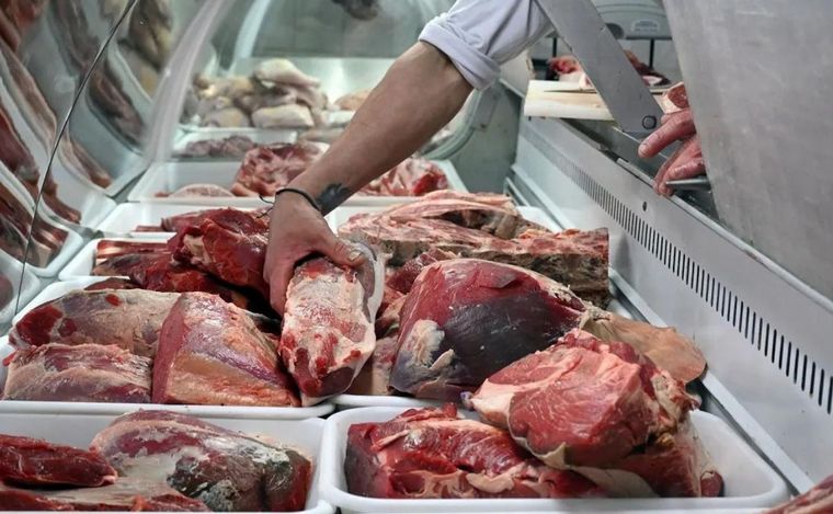 FOTO: Cayó un 18,6% el consumo de carne vacuna en marzo. (Foto: ilustrativa)