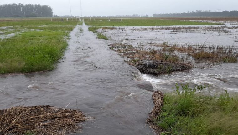 FOTO: El agua desbordó canales y caminos rurales