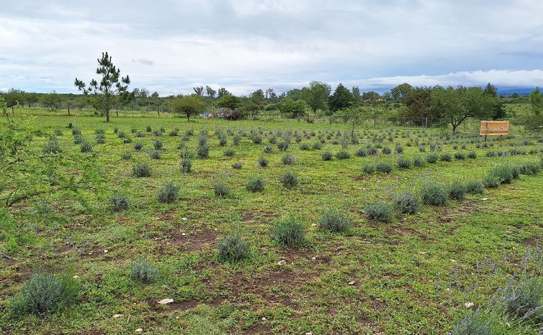 Islavanda, en Los Reartes. (Foto: Cadena 3)