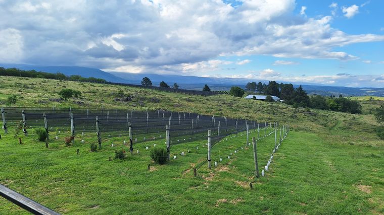 Juana Urbana un restaurant para pasar el día con vistas al Champaquí