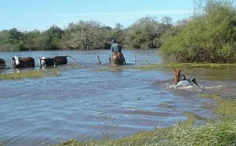 FOTO: Inundación en el Paraje Paso Tala en Perugorría, Corrientes (Foto: Iusnoticias)