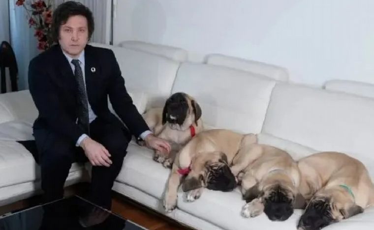 FOTO: Javier Milei junto a sus perros. (Foto: gentileza)