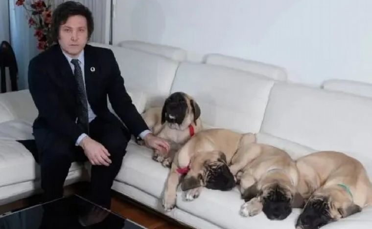Javier Milei junto a sus perros. (Foto: gentileza)