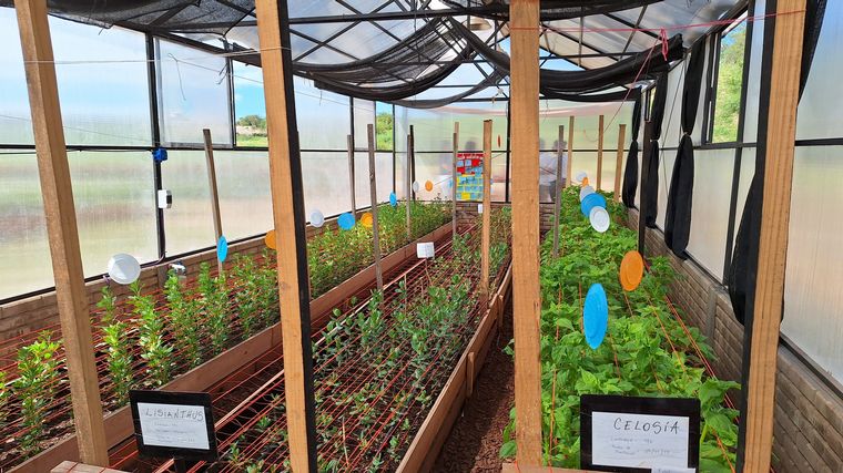 Despeñaderos Florece: un nuevo rincón para disfrutar una merienda entre flores