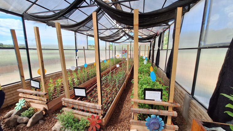 Despeñaderos Florece: un nuevo rincón para disfrutar una merienda entre flores