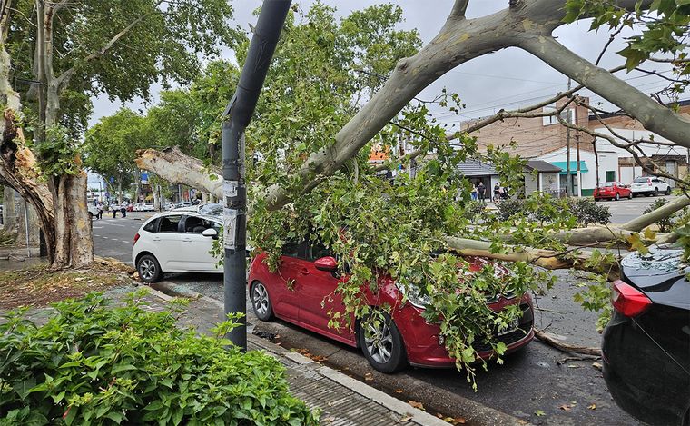 Temporal en Rosario: más de 90 milímetros de agua, viento y reclamos por doquier.