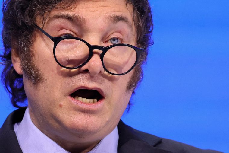 Para Guelar, Milei perdió la oportunidad de llamar al mundo a invertir.