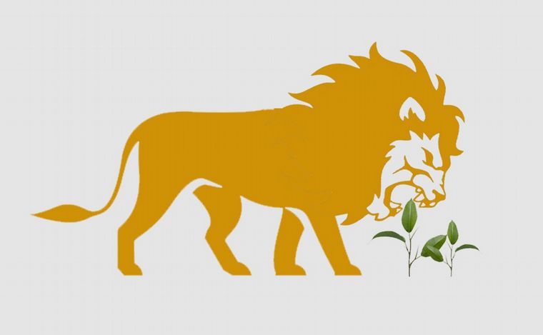 Fotoilustración: Juan Pérez Gaudio.