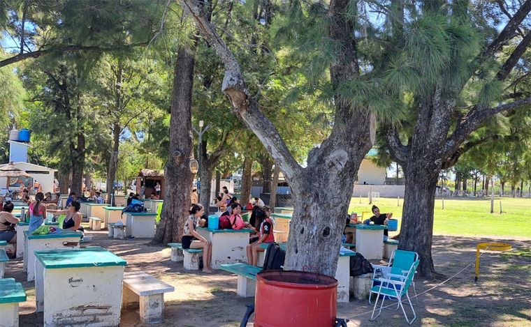 Teodelina: chapuzones, diversión y descanso al aire libre en el sur santafesino.