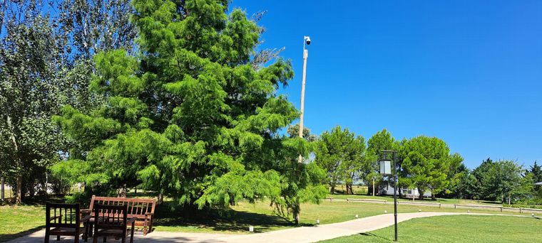 Don Elder invita a un reparador descanso en Sunchales.