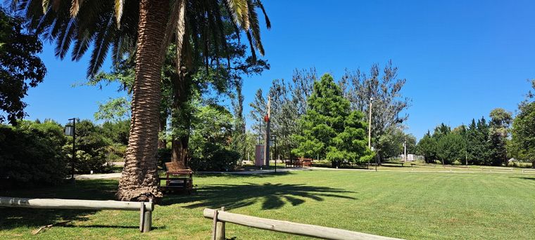 Don Elder invita a un reparador descanso en Sunchales.