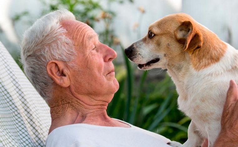 Por qué los perros pueden evitar la discapacidad en adultos (Foto: Ayuda Familiar)