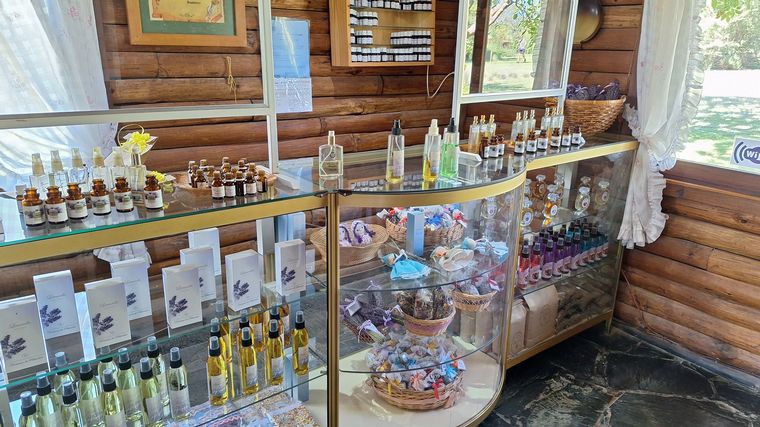 La plantación de lavanda Domaine de Puberclair