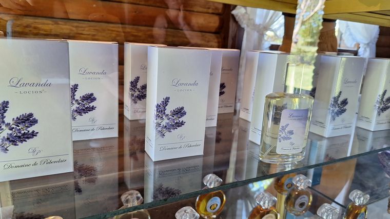 La plantación de lavanda Domaine de Puberclair