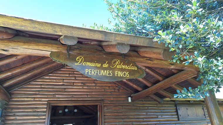 La plantación de lavanda Domaine de Puberclair