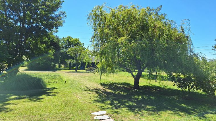 La plantación de lavanda Domaine de Puberclair