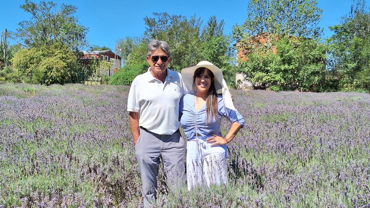 La plantación de lavanda Domaine de Puberclair