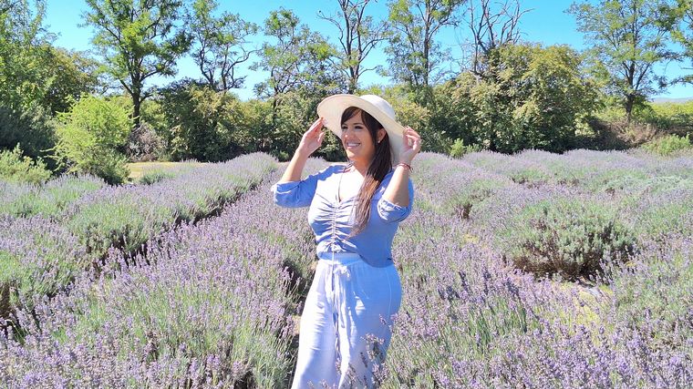 La plantación de lavanda Domaine de Puberclair