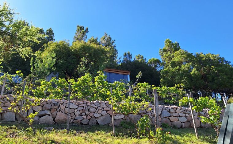 Granja Alhaurin, lugar ideal para degustar quesos y avistar el Valle de Punilla.