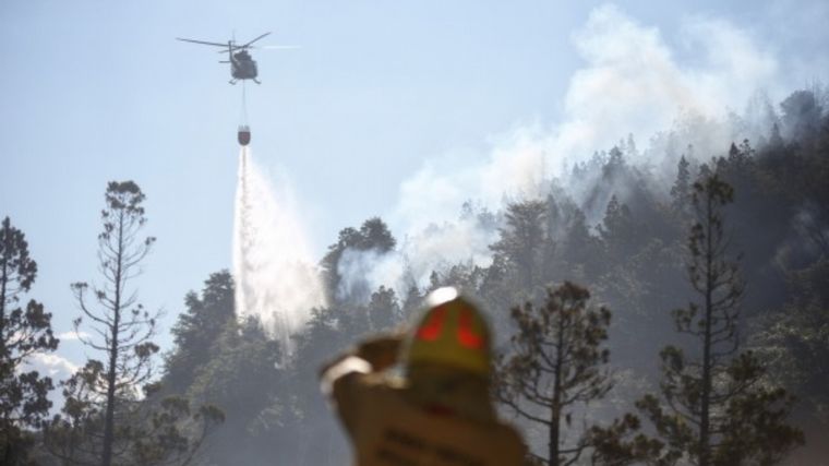 FOTO: Avanza el incendio en Parque Nacional Los Alerces (Foto: Telam)