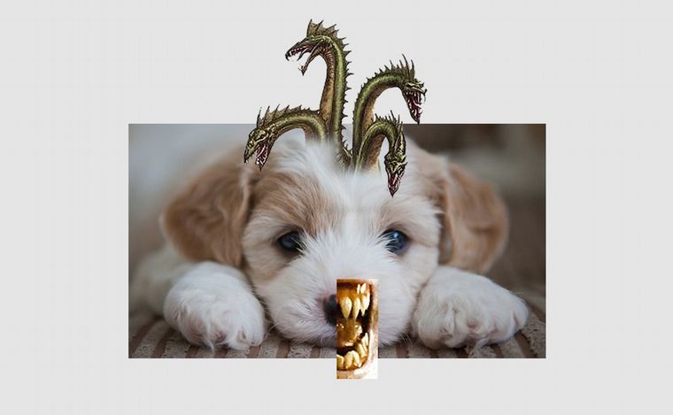 Fotoilustración: Juan Pérez Gaudio.