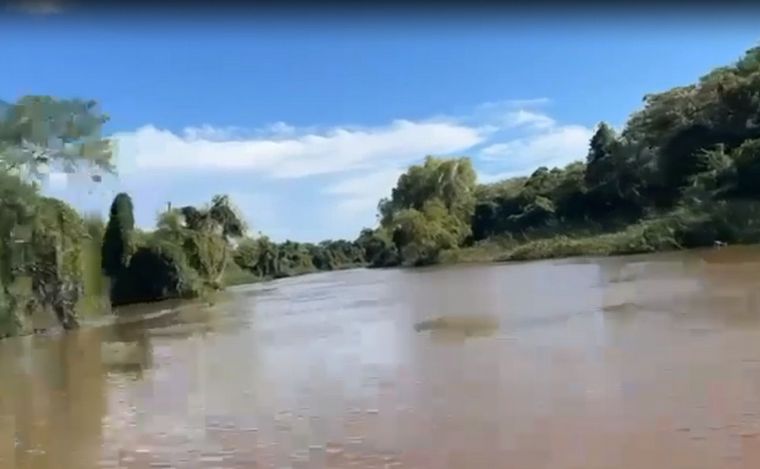 Un paseo por Puerto Reconquista: maravillas autóctonas en 