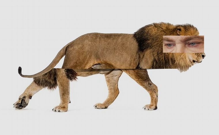 Energía: Milei pisa el freno (Ilustración: Juan Pérez Gaudio)