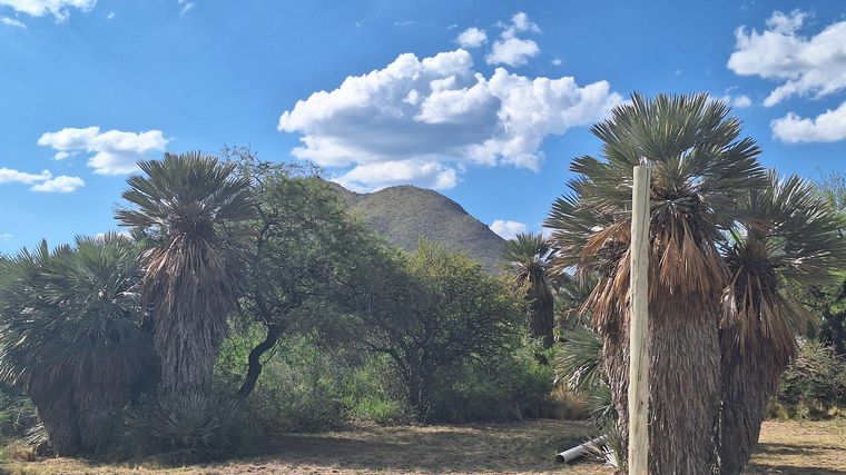 Finca posada el Volcán, un lugar para descansar y apreciar el paso del tiempo