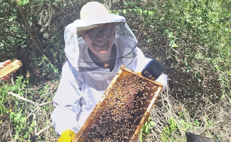 FOTO: La experiencia en carne propia de ser apicultor por un día en Villa de Soto.