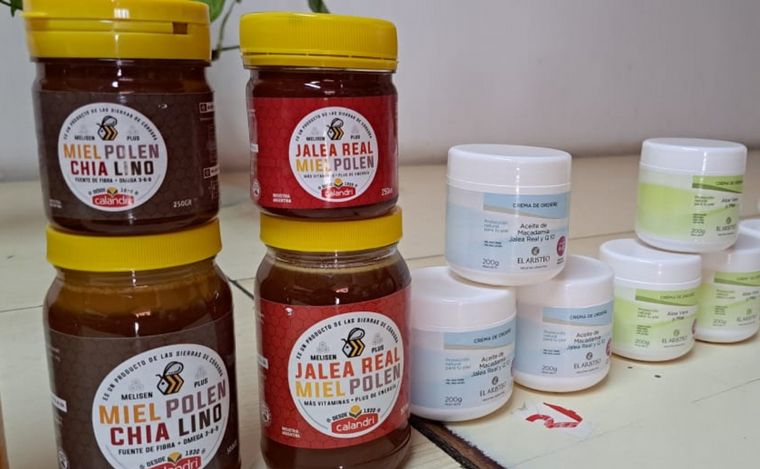 La experiencia en carne propia de ser apicultor por un día en Villa de Soto.