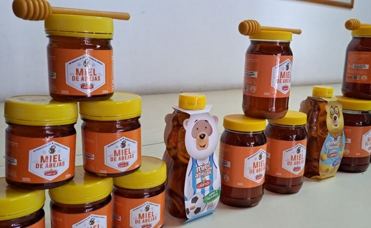 La experiencia en carne propia de ser apicultor por un día en Villa de Soto.