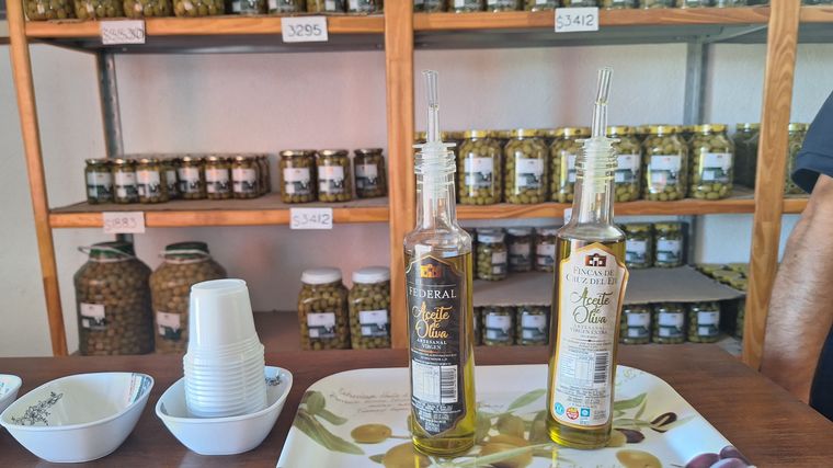 La ruta del Olivo en Cruz del Eje. 