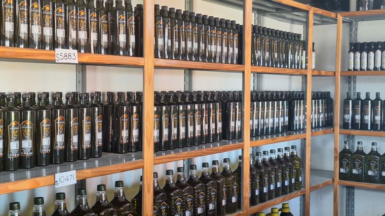 La ruta del Olivo en Cruz del Eje. 