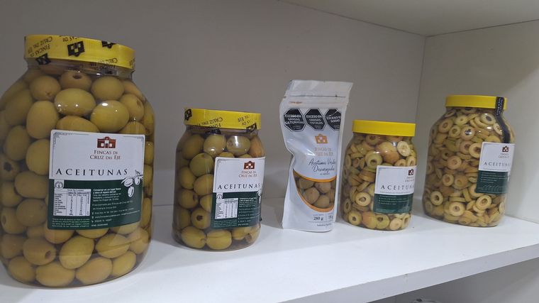 La ruta del Olivo en Cruz del Eje. 