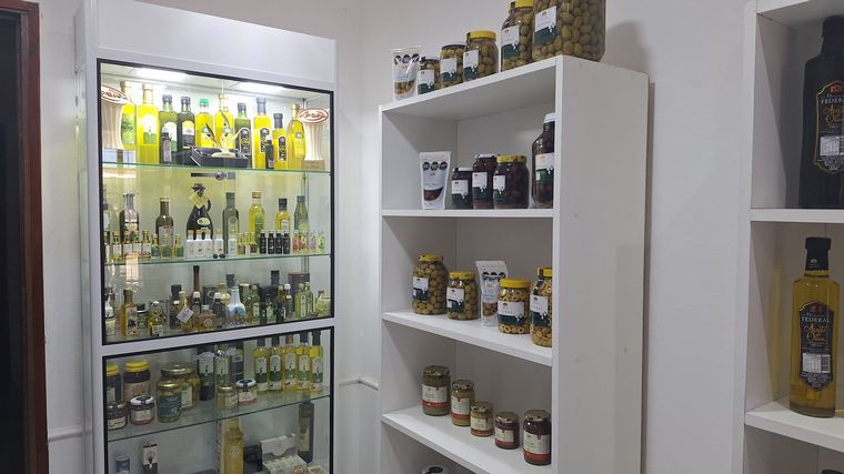 La ruta del Olivo en Cruz del Eje. 