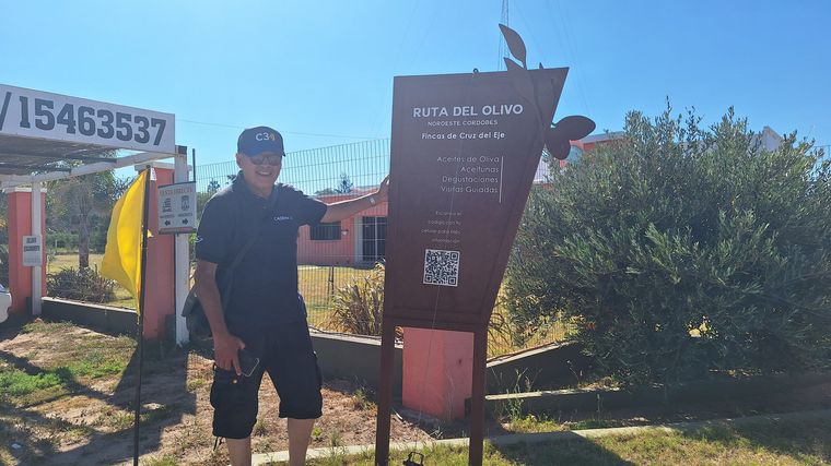 La ruta del Olivo en Cruz del Eje. 