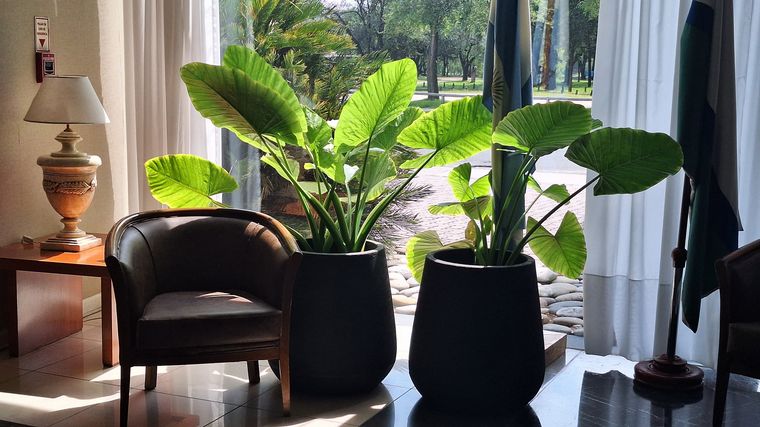 El Howard Johnson en Río Cuarto. 