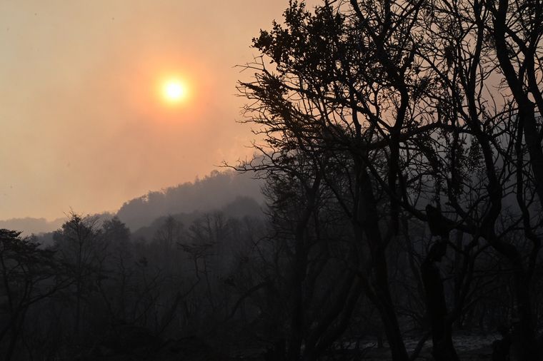 FOTO: El incendio forestal en el Parque Nacional Los Alerces, en Chubut.