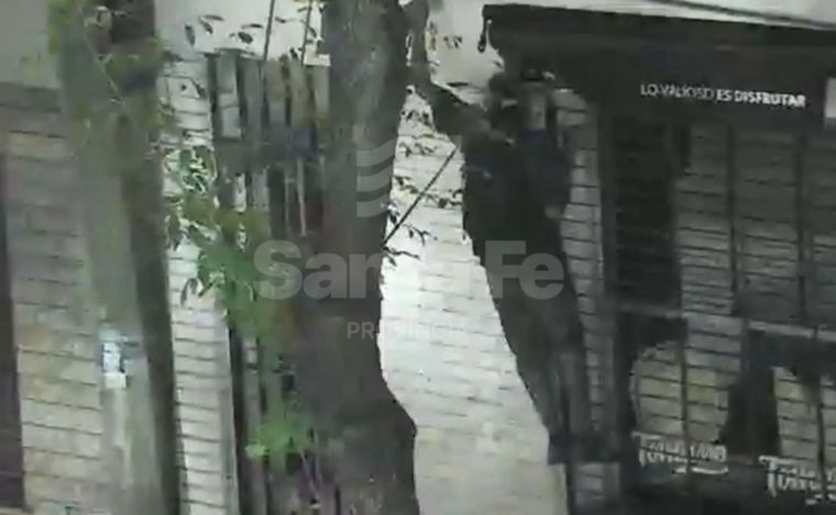 El detenido fue captado por las cámaras de seguridad robando un reflector. 