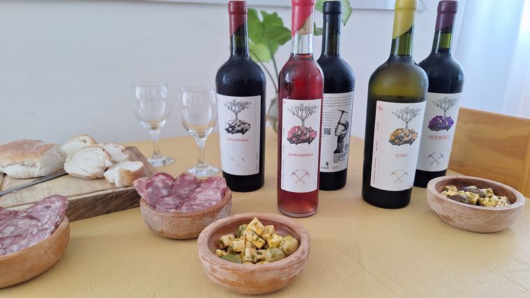 Alma Minera, un viñedo para disfrutar en Río de los Sauces